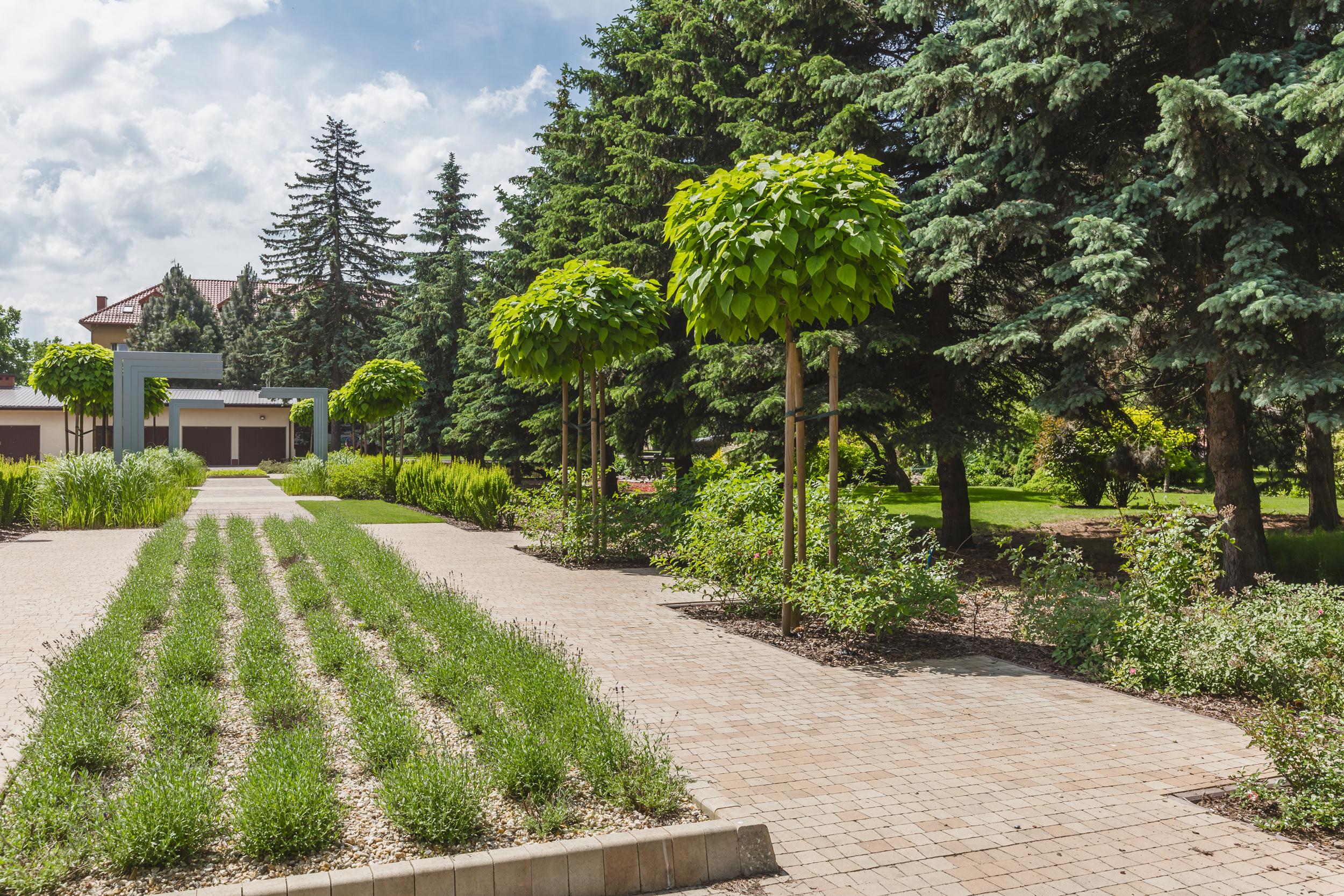 Domus Mater Hotel Краків Екстер'єр фото